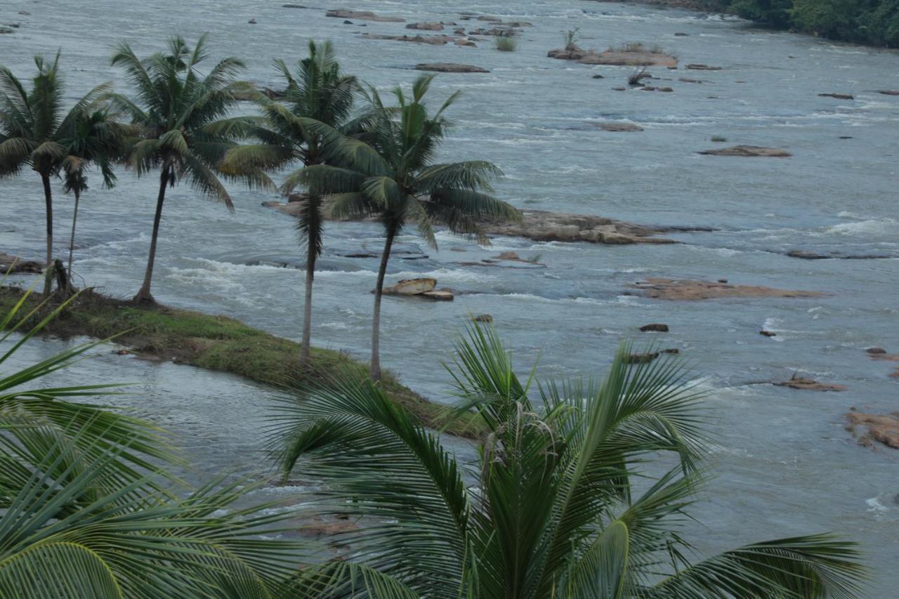 The Anchorage Athirapilly Resort Athirappilly Dış mekan fotoğraf